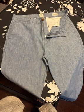 GAP Light Chambray Trousers in Sky Blue